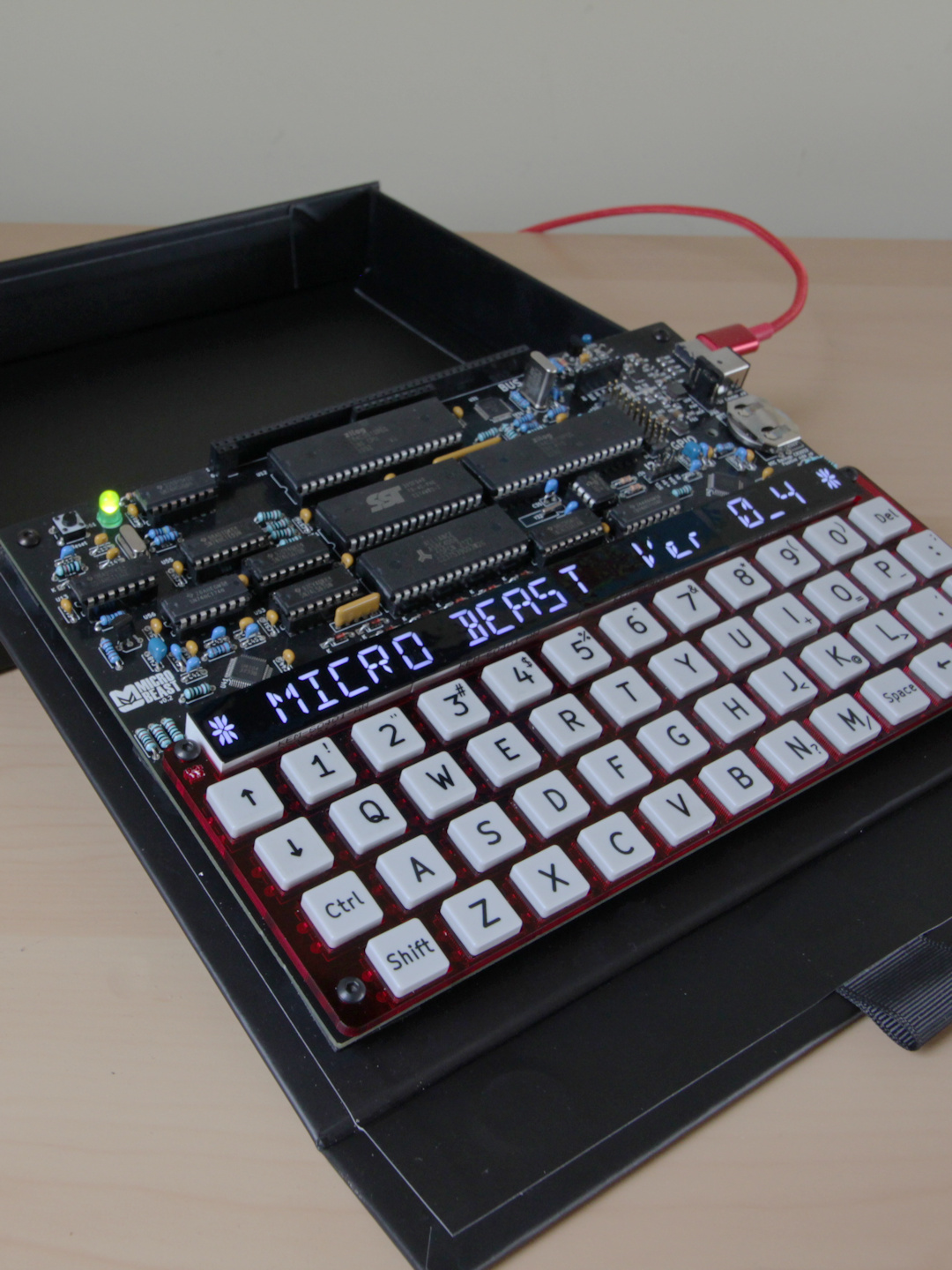 MicroBeast